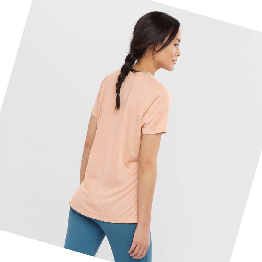 Camiseta Salomon AGILE Mujer Beige | MX 2555YXF